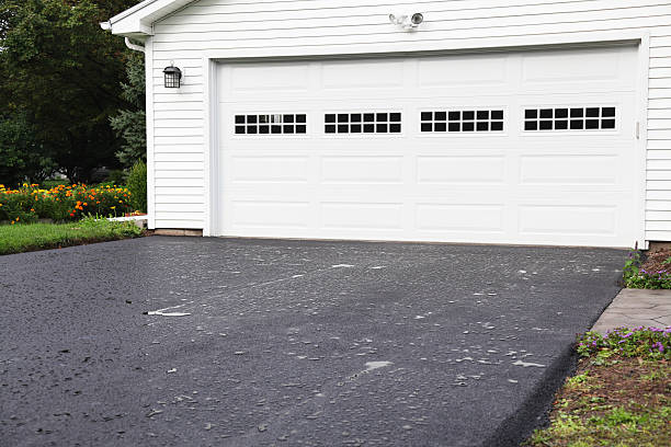 Best Hoarding Cleanup  in Ball Pond, CT